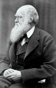 Karol Darwin, 1875 r